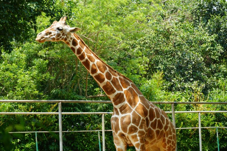 abhisek-tripathy-_PEKDkdLz9o-unsplash