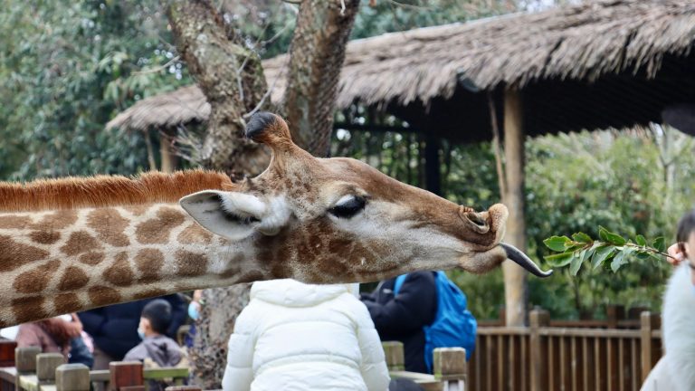 taha-XN9OrPW5WfE-unsplash