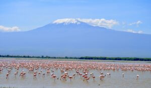 mt kilimanjaro 1