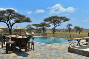 serengeti destination