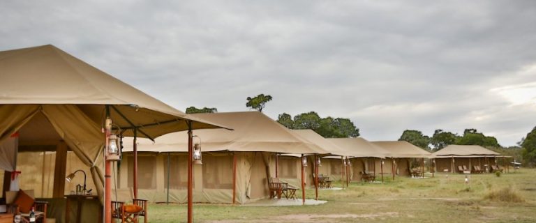 Kenzan Tented Camp