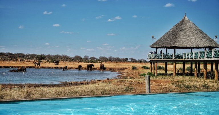 Voi Wildlife Lodge
