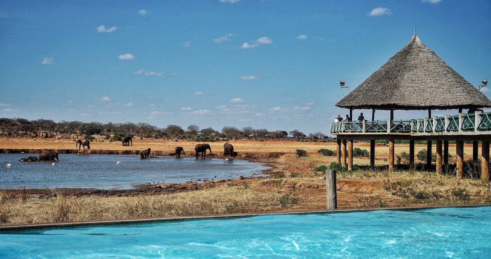 Voi Wildlife Lodge