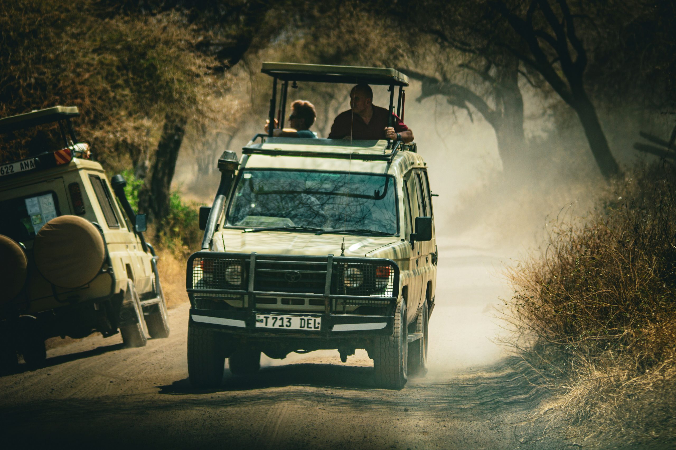 Lake Manyara Game Drive