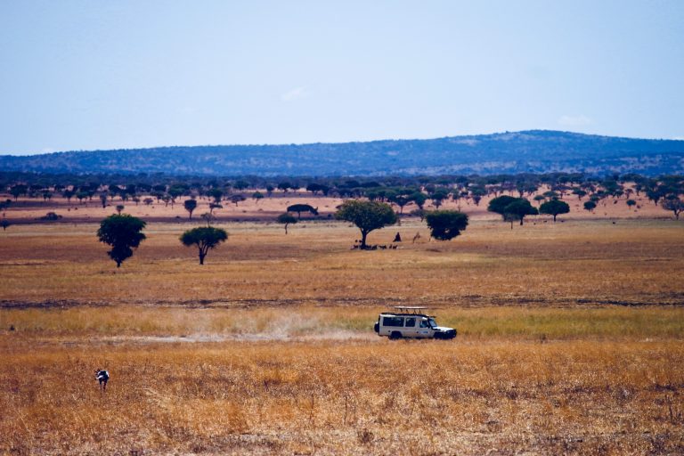 The Serengeti