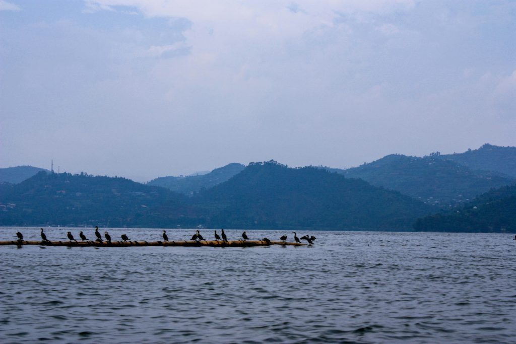 lake-kivu-rwanda