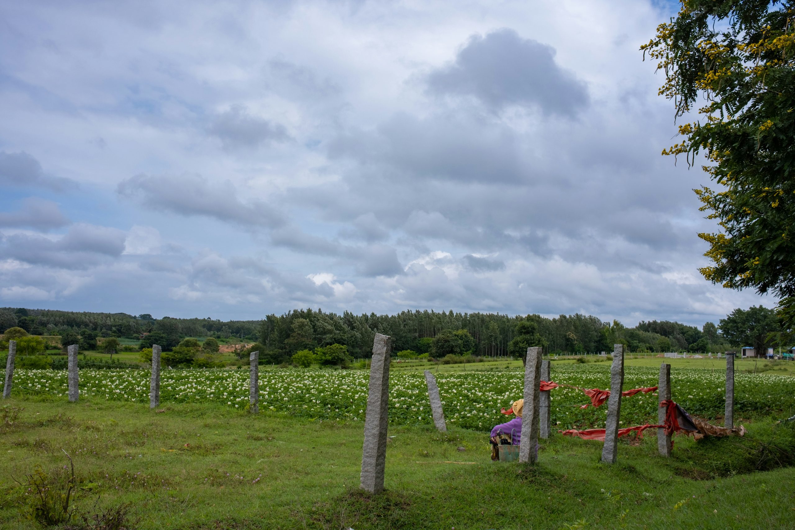 Franschhoek Winelands-3