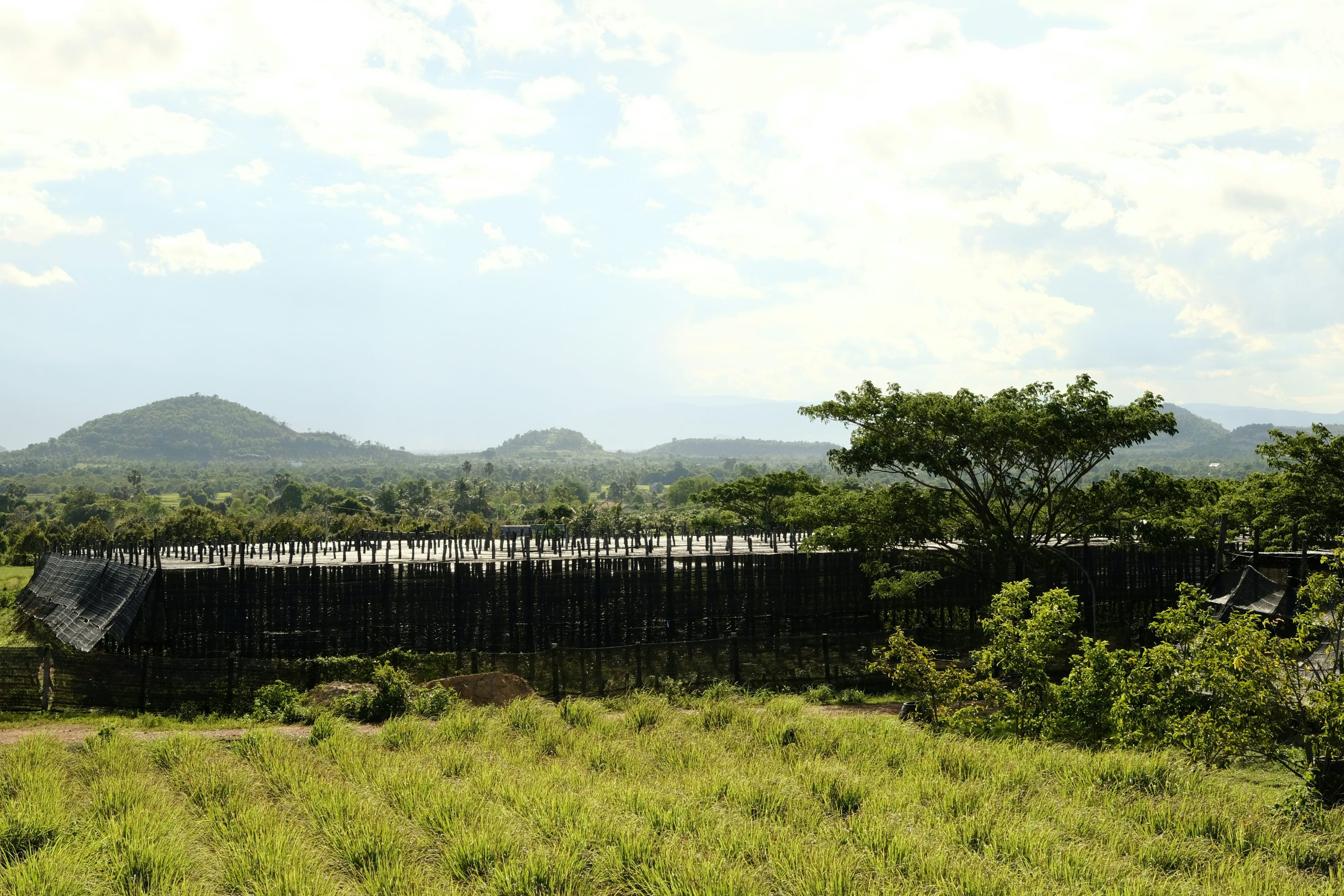 Hartbeespoort Dam
