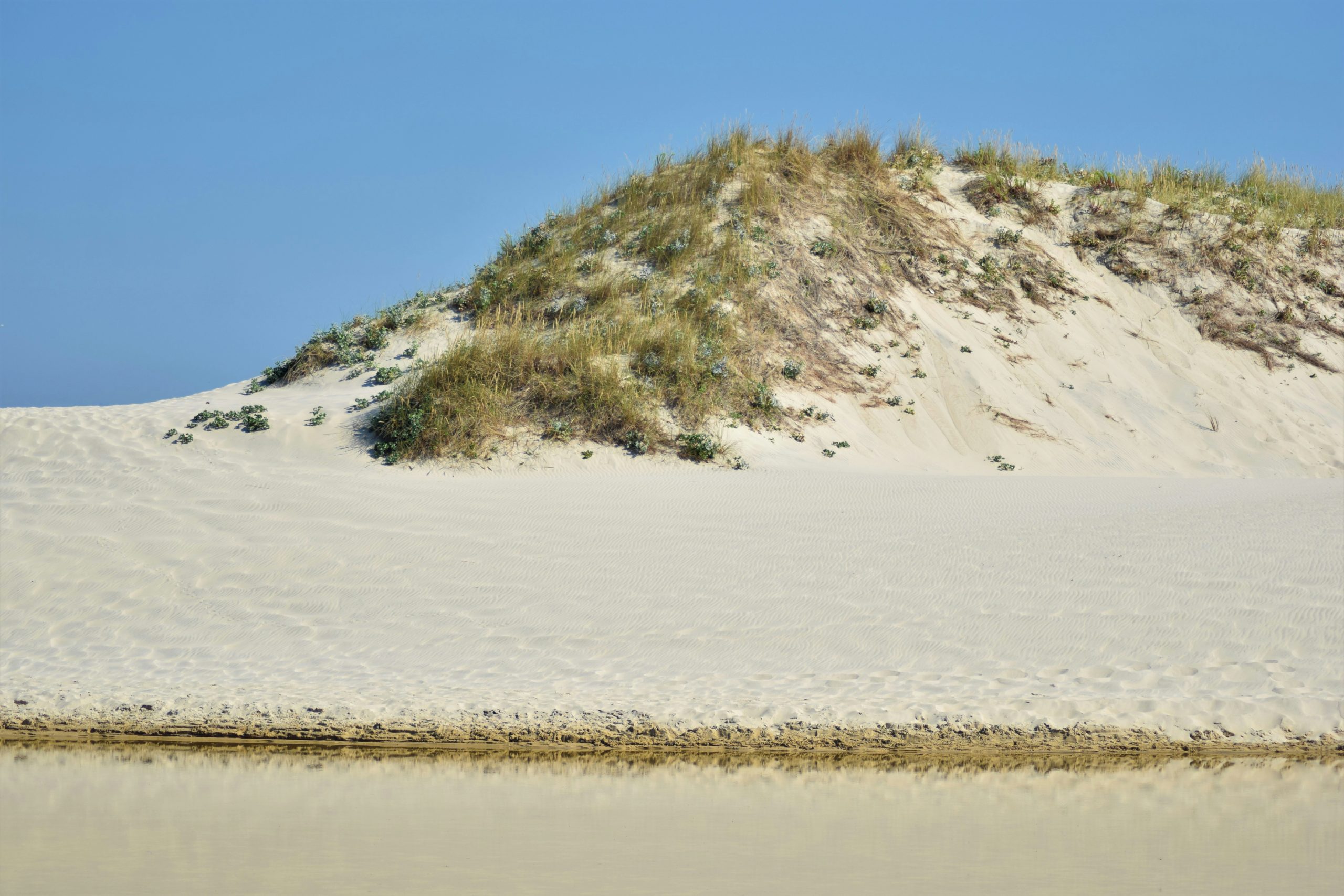 aitor-olaskoaga-IUIB9HSRN_I-unsplash