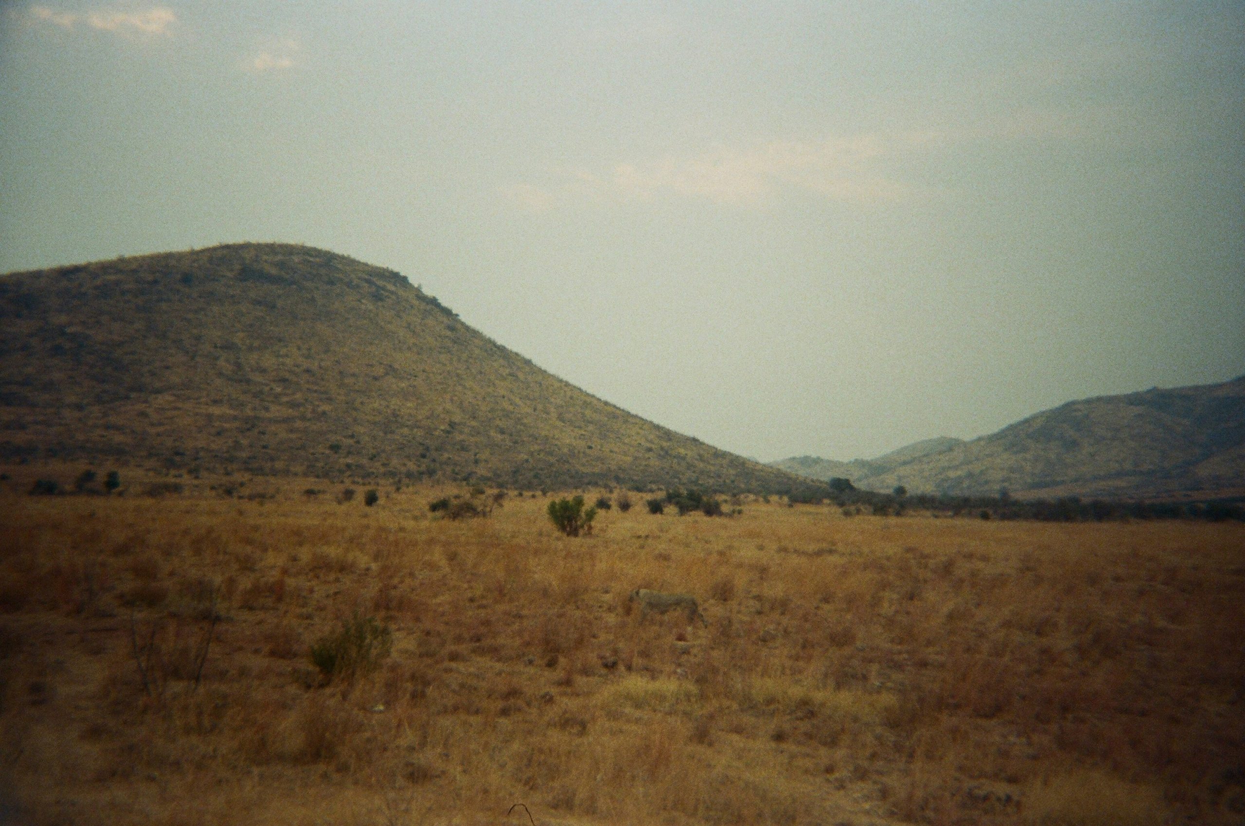 mountain in the horizon