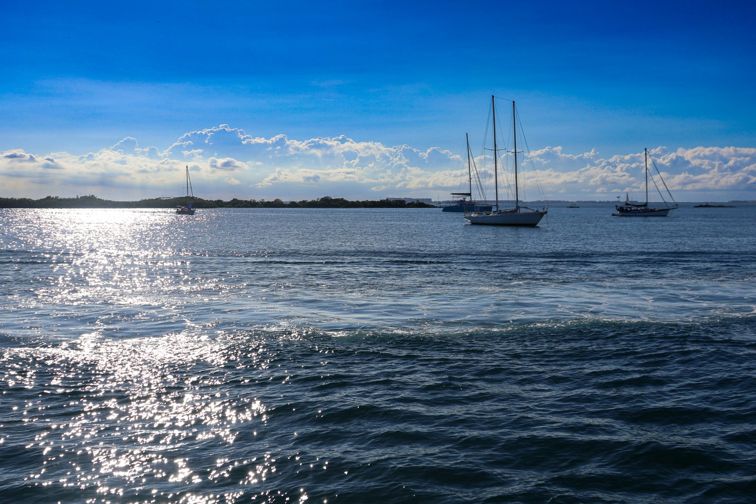 meg-von-haartman-1nWMOxtuECc-unsplash