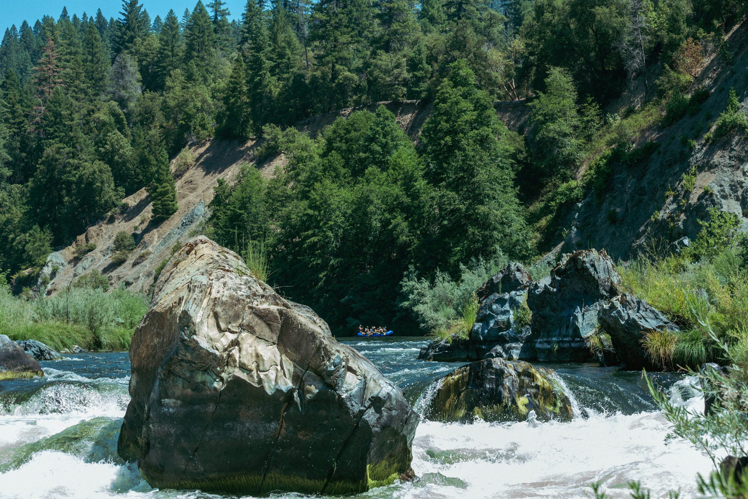 megan-nixon-tR_z6XwDJaE-unsplash