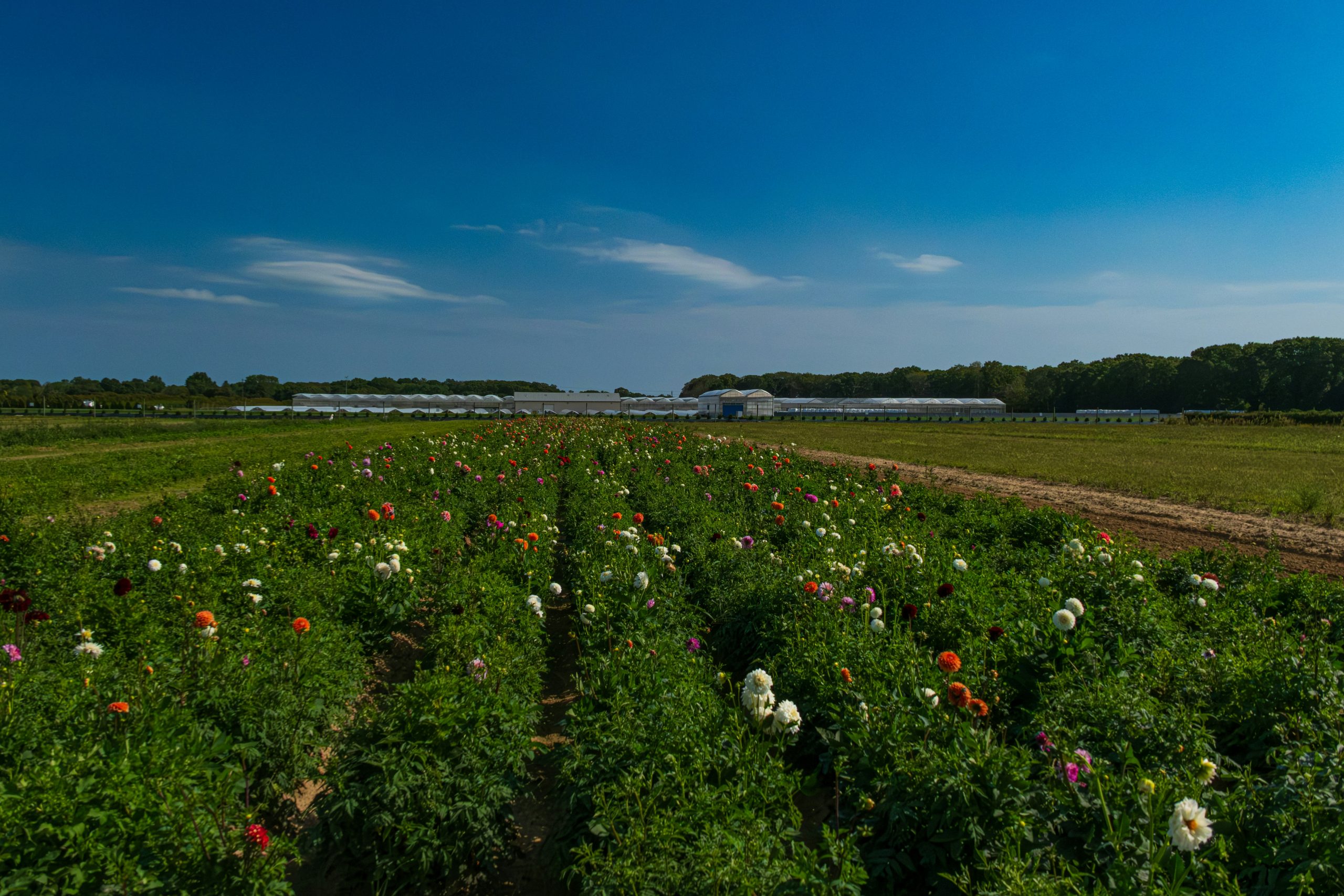 michael-chiara-Hb9EelR3W-c-unsplash