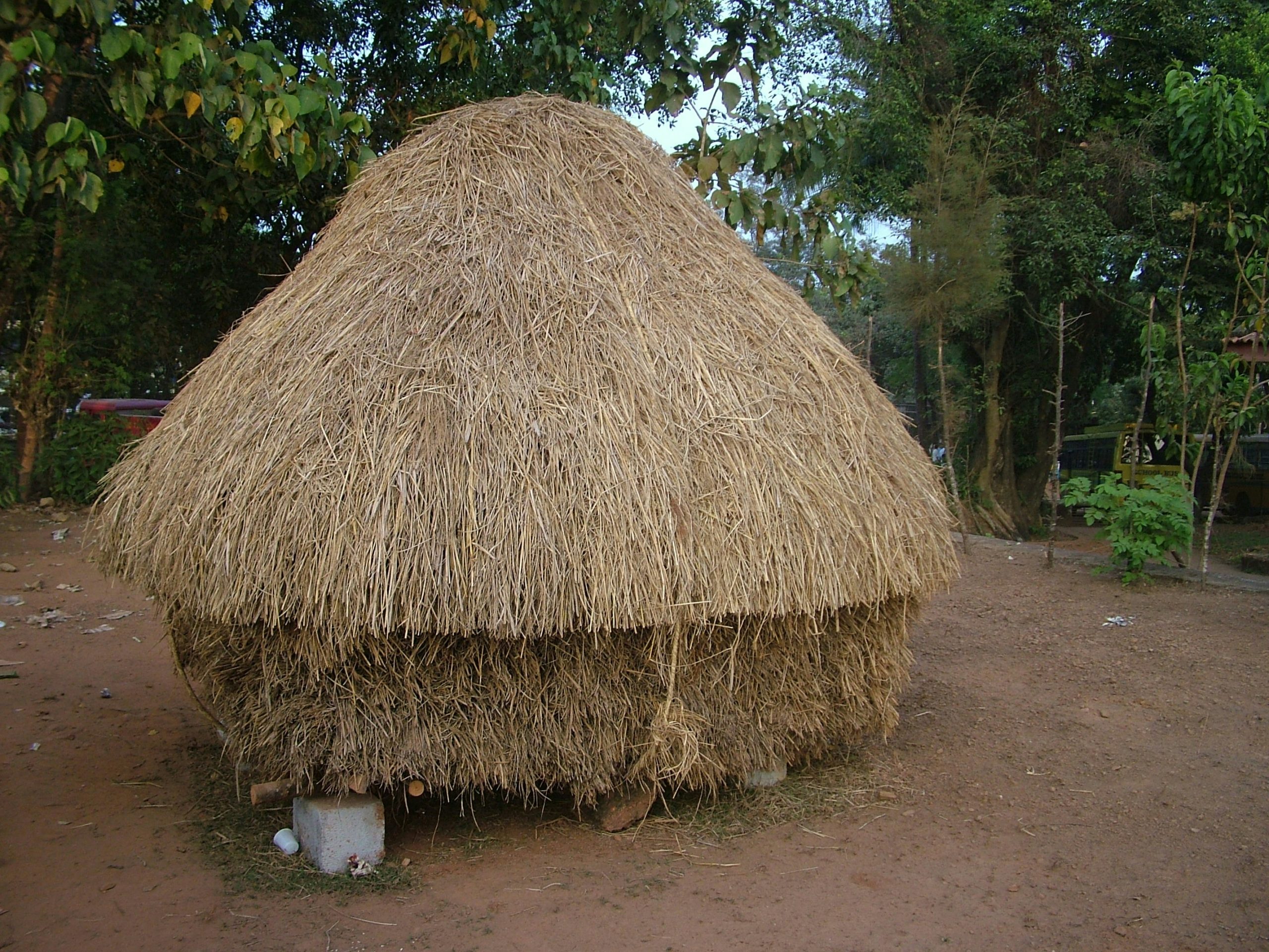 vasanth-kedige-cCnC-BFf0yg-unsplash